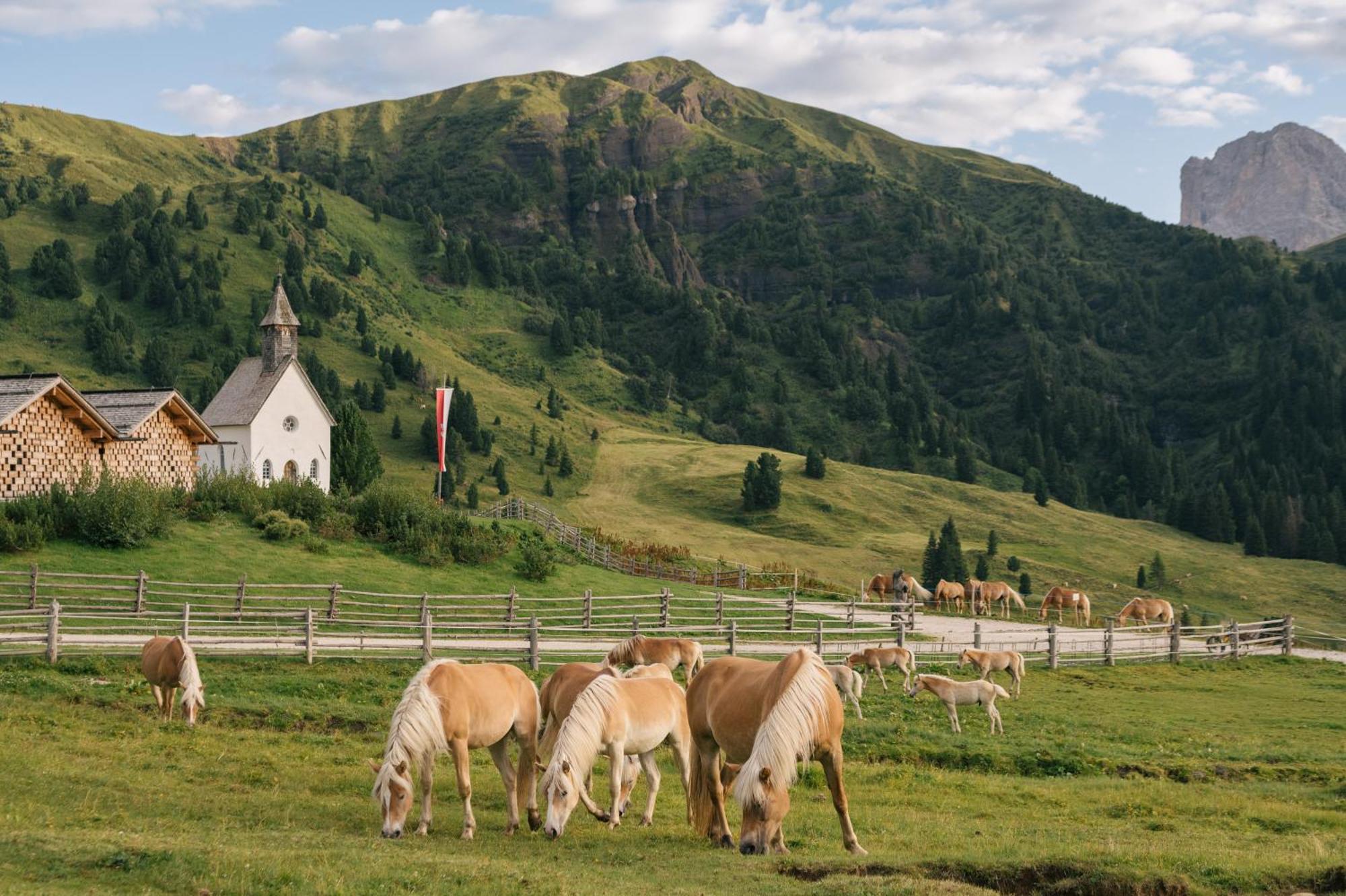 Zallinger Dolomites Alpe Di Siusi Εξωτερικό φωτογραφία